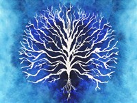 Coral Blues II Fine Art Print