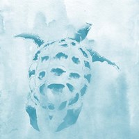 Washed Teal Aquatic Turtle Fine Art Print