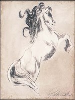 Majestic Horse Fine Art Print