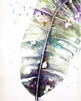 Watercolor Plantain Leaves with Purple II Fine Art Print