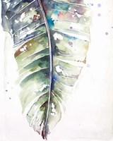 Watercolor Plantain Leaves with Purple I Fine Art Print