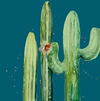 Natural Desert Cactus On Blue II Fine Art Print