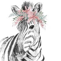 Water Zebra with Floral Crown Square Fine Art Print