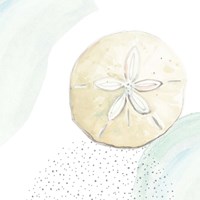 Turquoise Ocean Sand Dollar Fine Art Print