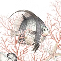 Ocean Fish On Coral Framed Print