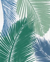 Baru Palm Collage I Framed Print