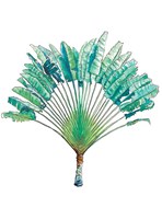 Travelers Palm Fine Art Print