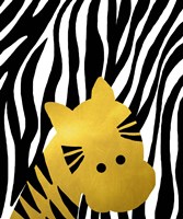 Gold Baby Zebra Fine Art Print