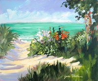 Sun Beach Dunes Fine Art Print