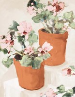 Potted Pink Geraniums Fine Art Print