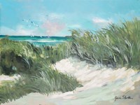 Beach Coast Grass Fine Art Print