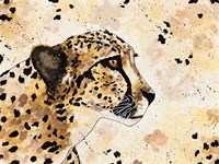 Cheetah Face Fine Art Print