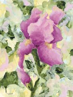 Purple Iris Fine Art Print