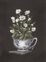 Tea Cup Daisies Fine Art Print