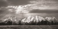 Sunlight on the Tetons Fine Art Print