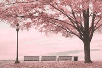 Moody Pink Day in the Park Fine Art Print