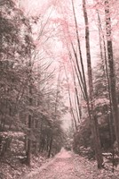 Pink Forest Fine Art Print