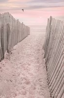 Pink Beach Sunrise Fine Art Print