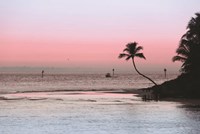 Cotton Candy Sunset Fine Art Print