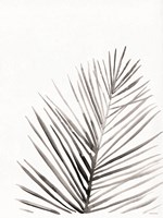 Organic Botanical I Fine Art Print