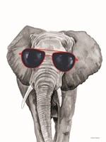 Looking Cool Elephant Fine Art Print