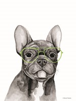 Smart Dog Fine Art Print