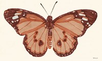 Papillon 3 Fine Art Print