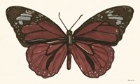 Papillon 4 Fine Art Print