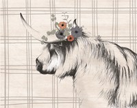 Highland Cow in Gray Fine Art Print