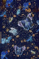 Confetti with Butterflies II Fine Art Print