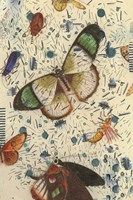 Confetti with Butterflies IV Fine Art Print