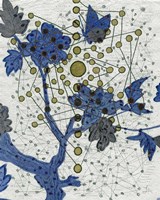 Chakra Web with Butterfly Fine Art Print