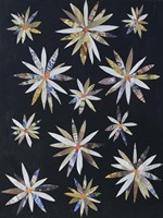 Starburst Too I Framed Print