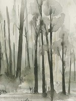 Into the Woods III Fine Art Print