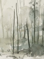 Into the Woods IV Fine Art Print