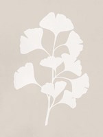 Ginkgo Branch II Fine Art Print