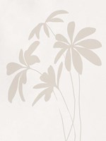 Schefflera I Fine Art Print