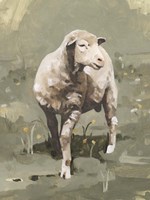 Spring Sheep I Fine Art Print