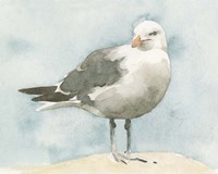 Simple Seagull I Fine Art Print