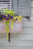 Pastel Windows V Fine Art Print