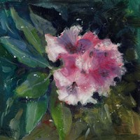 Rhododendron Portrait II Framed Print