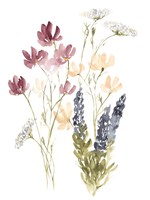 Lobelia Garden II Framed Print