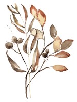 Autumn's Bundle I Framed Print