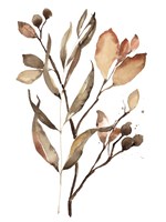 Autumn's Bundle II Framed Print