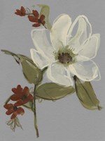 Subdued Floral II Framed Print