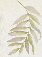 Whispering Palm I Fine Art Print