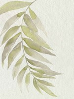 Whispering Palm II Fine Art Print