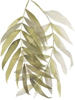 Palm Embrace II Fine Art Print