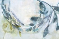 Branches & Shadows II Framed Print