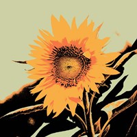 Pop Art Sunflower II Framed Print